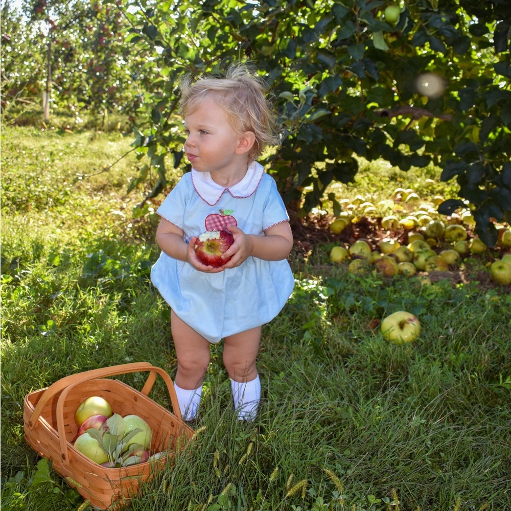 Dondolo Apple bubble